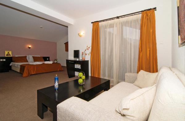 Spa Hotel Planinata Ribaritsa Kamer foto