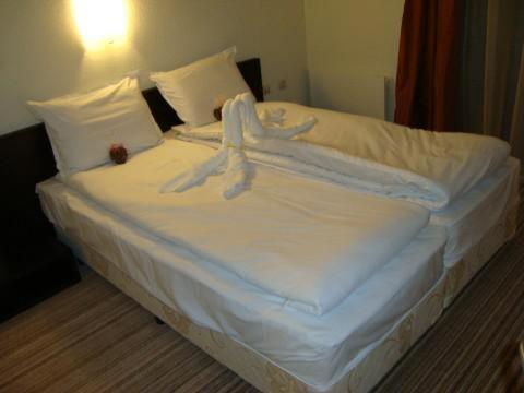 Spa Hotel Planinata Ribaritsa Kamer foto